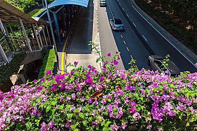 Steam开启射击游戏《先驱者》免费体验活动